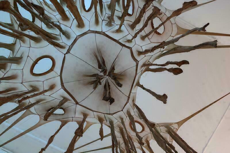 Das Kunstobjekt von Sibylle Kobus besteht aus miteinander vernähten Seidenstrumpfhosen, die im Raum aufgespannt wurden. An einigen Stellen ist das Nylon dünn-durchscheinend, an anderen hängen die ungedehnten dunkleren Beinlinge (teilweise verknotet) herab und in regelmäßigen Abständen sind die Taillien-Löcher zu sehen. Das Objekt ist großflächig und besteht aus mindestens 30 Strumpfhosen-Paaren.